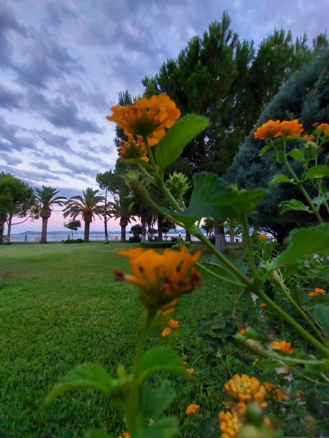 Batis Hotel Λιβανάτες Εξωτερικό φωτογραφία