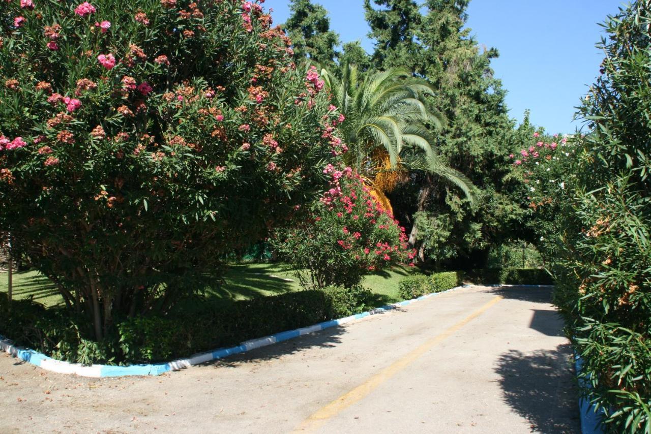 Batis Hotel Λιβανάτες Εξωτερικό φωτογραφία