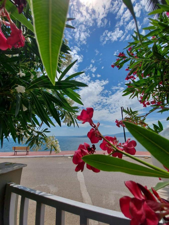 Batis Hotel Λιβανάτες Εξωτερικό φωτογραφία